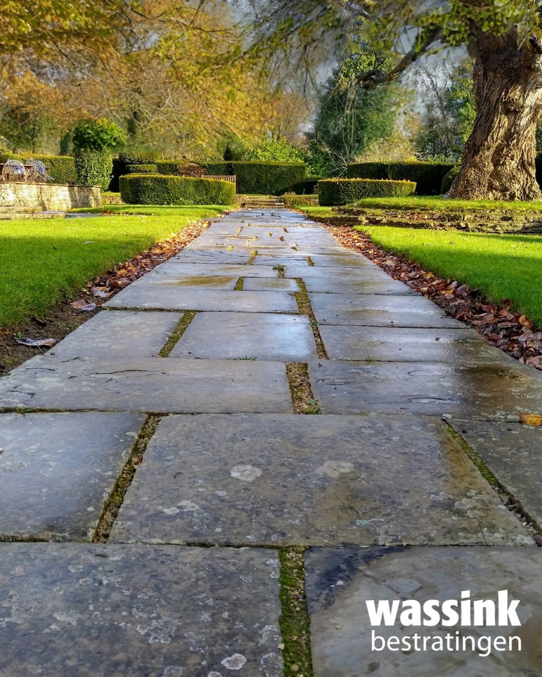 September: Dé Maand voor Tuinplannen