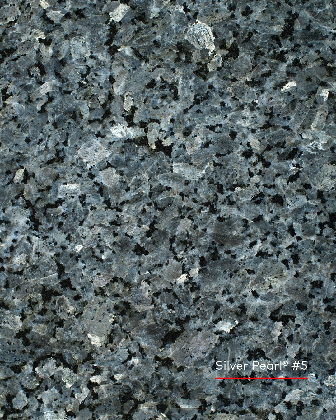 Silver Pearl® larvikiet met grote zilvergrijze en blauwgrijze kristallen en donkere accenten.